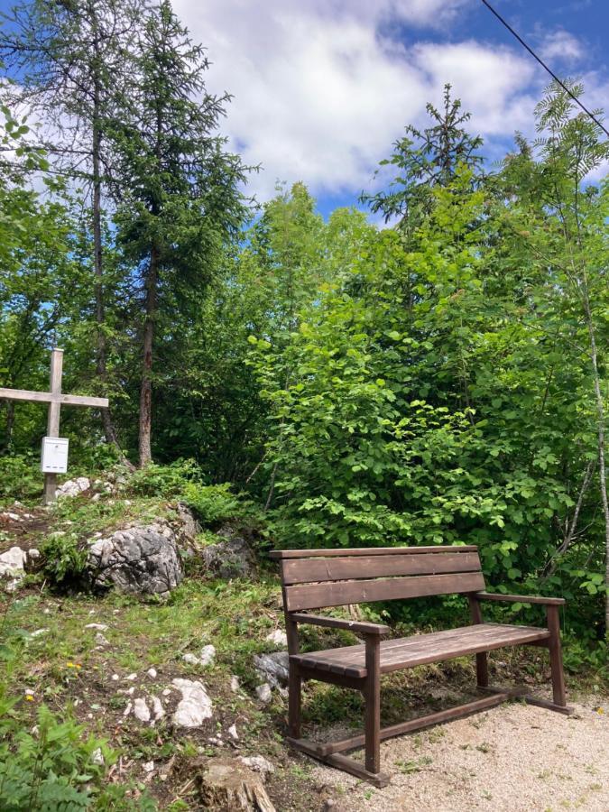 Das Schutzhaus-Bed And Breakfast-Dein Basislager Im Salzkammergut "바트아우시 외부 사진